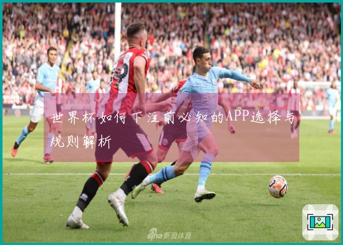 世界杯如何下注前必知的APP选择与规则解析